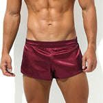 Pantalones cortos de seda tipo jockstrap